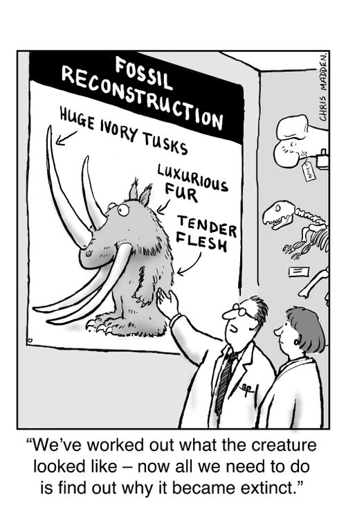 'We've worked out what the creature looked like  - now all we need to do is find out why it became extinct.'