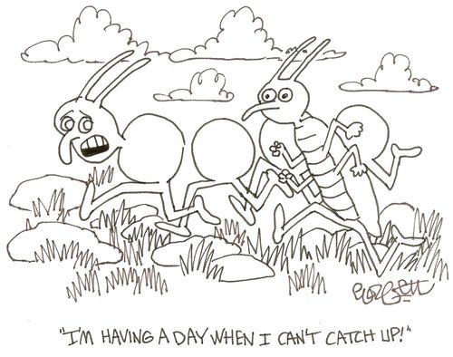 'I'm having a day when I can't catch up!'