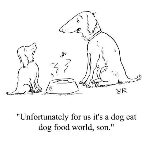 'Unfortunately for us it's a dog eat dog food world, son.'