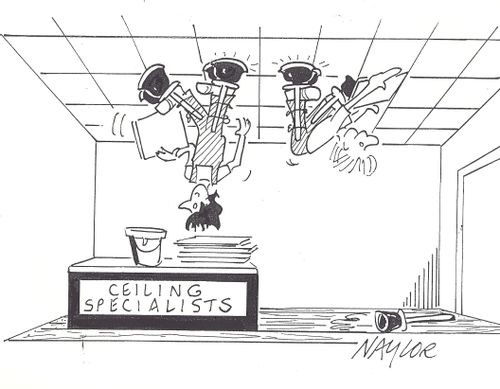 Ceiling Specialists