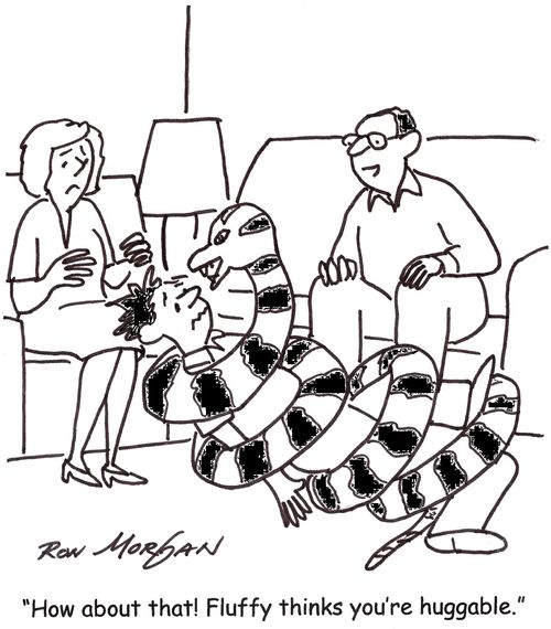 'How about that! Fluffy thinks you're huggable.'