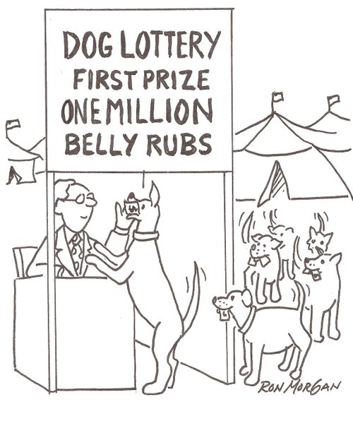 Dogs enter lottery for belly rubs.