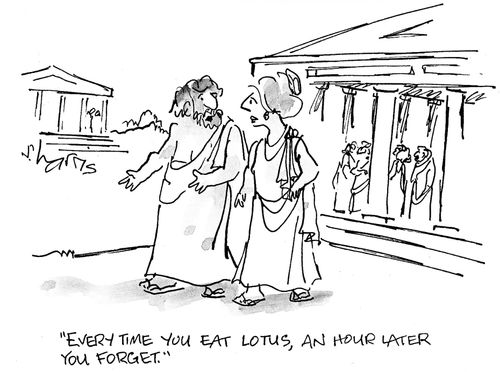 'Every time you eat lotus, an hour later you forget.'