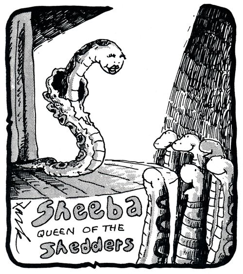 Sheeba queen of the shedders