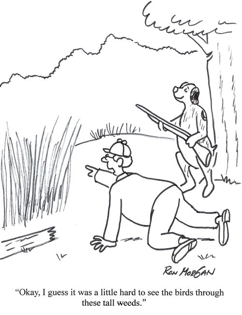 'Okay, I guess it was a little hard to see the birds through these tall weeds.'
