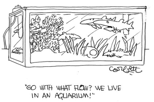"Go with what flow? We live in an aquarium."
