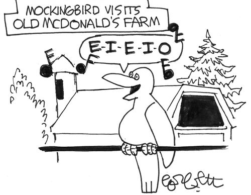 Mockingbird visits old mcdonald's farm: E-I-E-I-O!