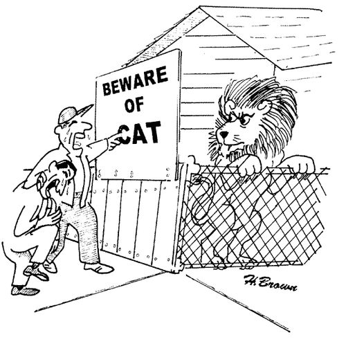 'Beware of Cat.'
