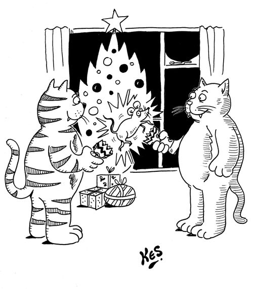 Cats pull a Christmas cracker and find a mouse inside.