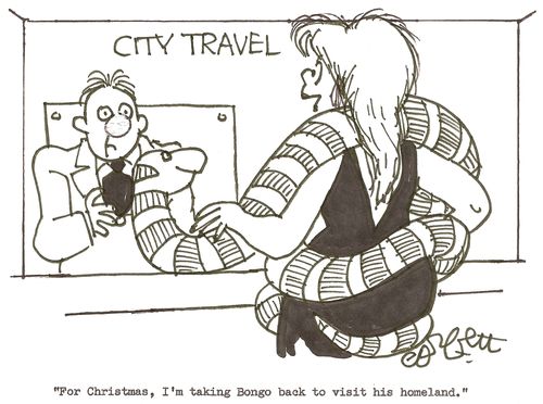 'For Christmas, I'm taking Bongo back to visit his homeland.'