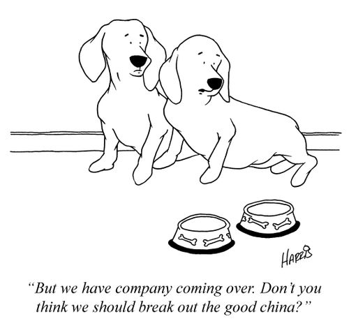 'But we have company coming over. Don't you think we should break out the good china?'