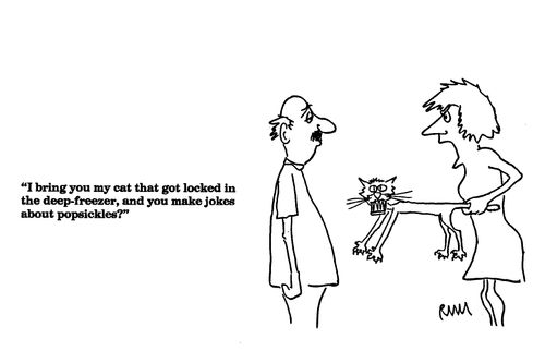 'I bring you my cat that got locked in the deep-freezer and you make jokes about popsicles."