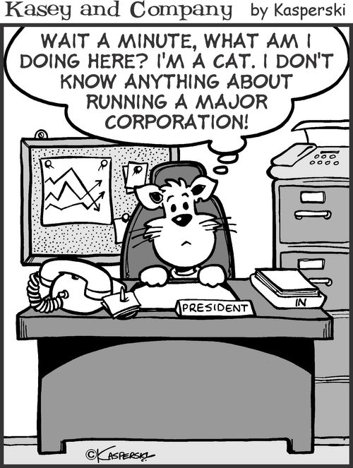 'What am I doing here? I'm a cat. I don't know anything about running a major corporation!'
