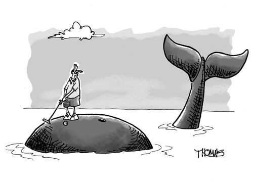 Guy golfing on whales back.