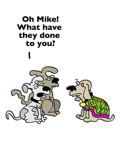'Oh Mike, what have they done to you?'