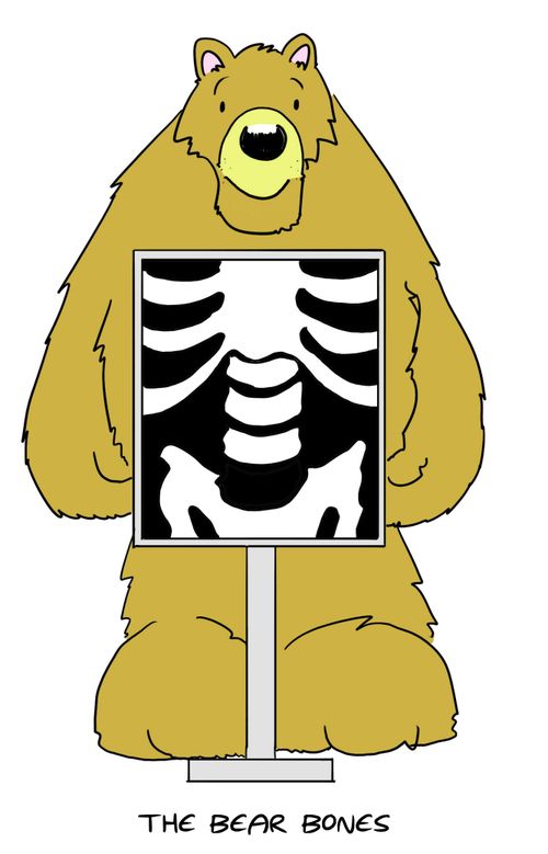 The Bear Bones