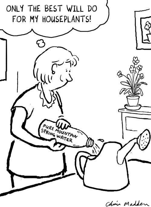 'Only the best will do for my household plants.'