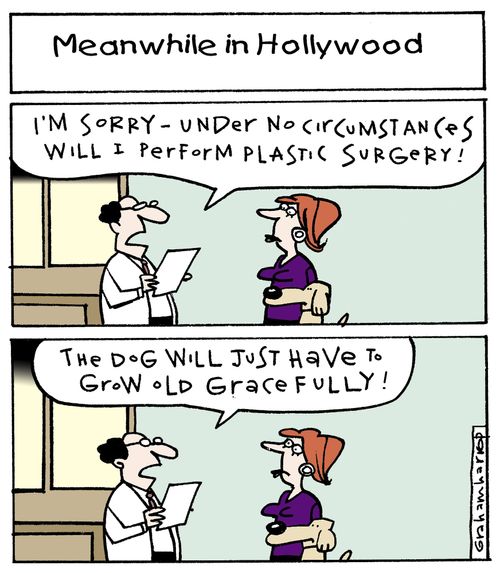 Meanwhile in Hollywood