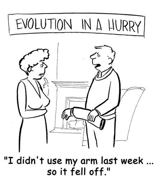 Evolution in a Hurry