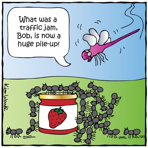 'What was a traffic jam, Bob, is now a huge pile up.'