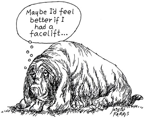 'Maybe I'd feel better if I had a facelift.'