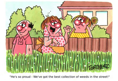 'He's so proud - We've got the best collection of weeds in the street!'