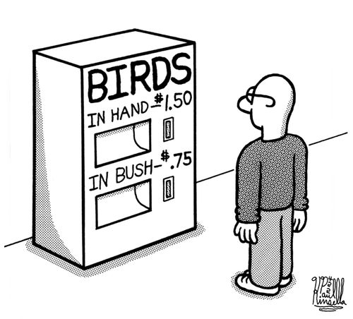 Birds: in hand - $1.50, in bush - $.75, a bird in the hand is worth two in the bush.