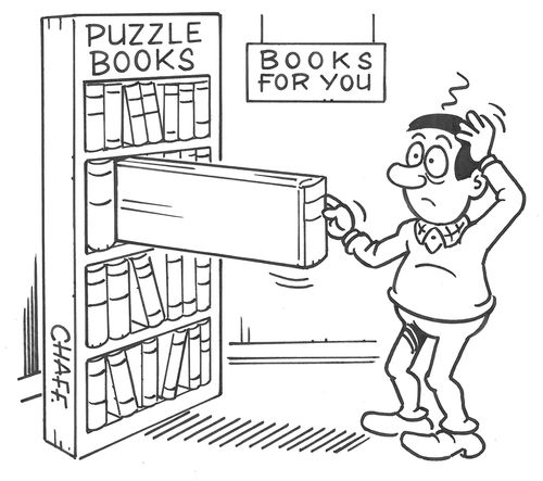Puzzle Books