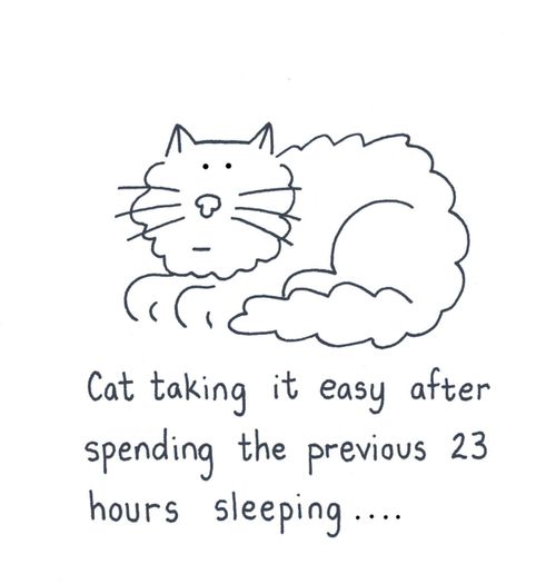 Cat taking it easy after spending the previous 23 hours sleeping.