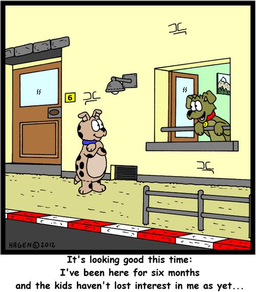 'It's looking good this time: I've been here for six months and the kids haven't lost interest in me as yet...'