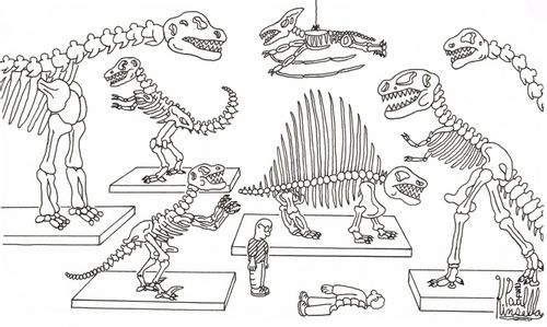 Dinosaur bone fossils suspected of animal attack at museum!