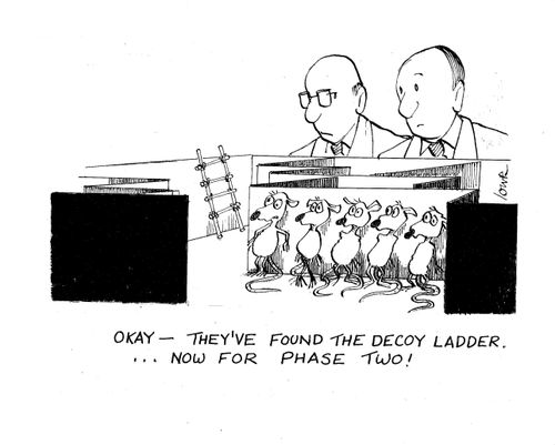 'Okay - they've found the decoy ladder. . . Now for phase two!'