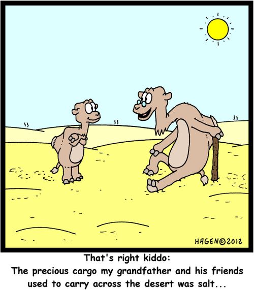 'That's right kiddo: The precious cargo my grandfather and his friends used to carry across the desert was salt...'