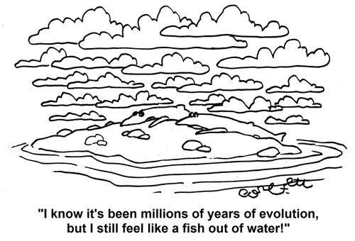 'I know it's been millions of years of evolution,but I still feel like a fish out of water!'