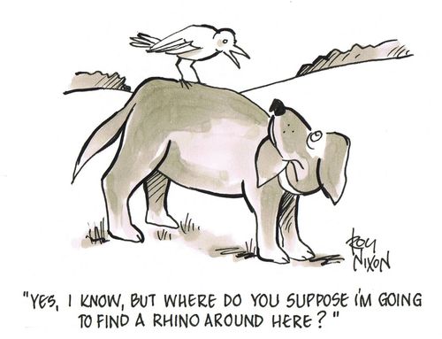 'Yes,I know, but where do you suppose I'm going to find a rhino around here?'