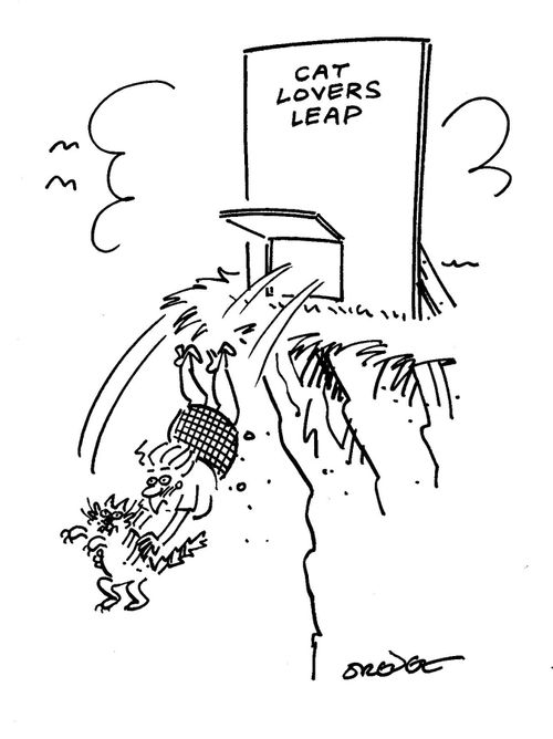 Cat Lover's Leap.
