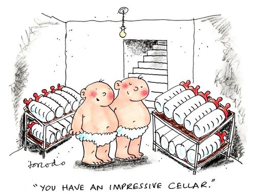 'You have an impressive cellar.'