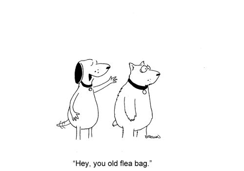 'Hey, you old flea bag.'
