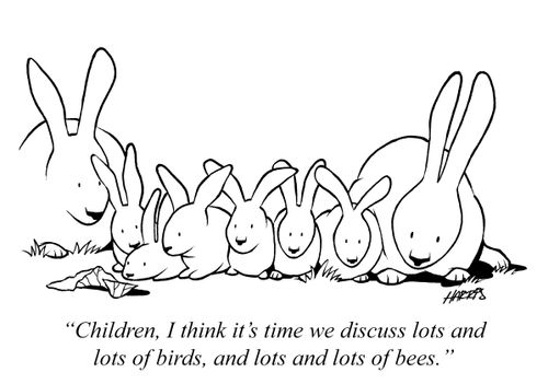 'Children, I think it's time we discuss lots and lots of birds, and lots and lots of bees.'