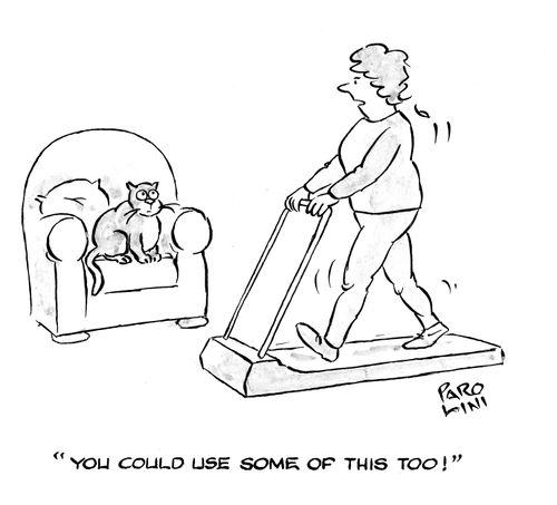 'You could use some of this too!' (Woman to overweight cat.)