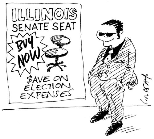 Illinois Senate Seat - buy now, save on election expenses.