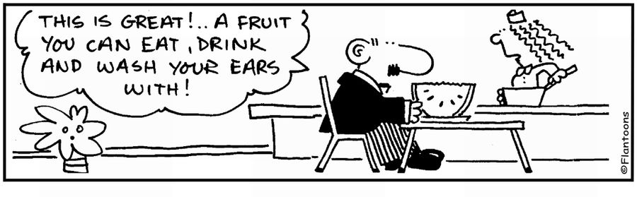  'Watermelon - a fruit to eat, drink and wash your ears with.'