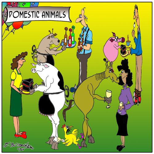 Domestic Animals.