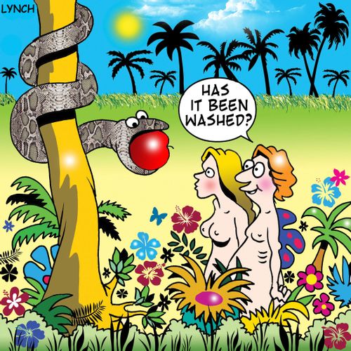 'Has it been washed?'