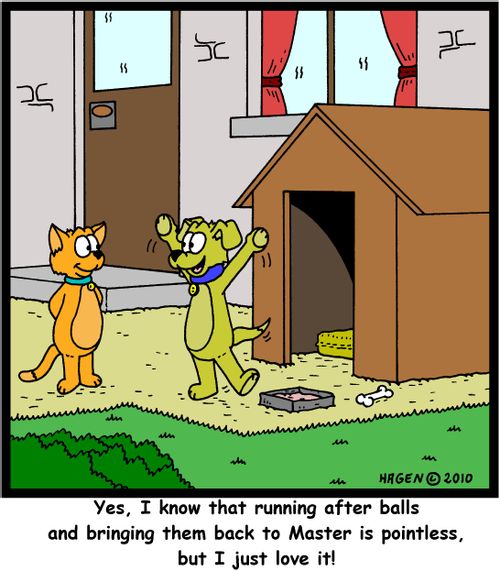 'Yes, I know that running after balls and bringing them back to Master is pointless, but I just love it!'
