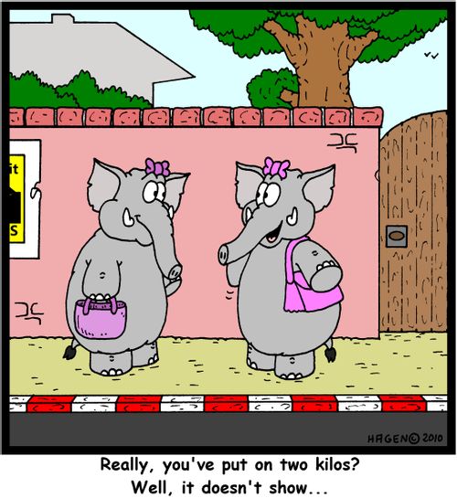 'Really, you've put on two kilos? Well, it doesn't show...'