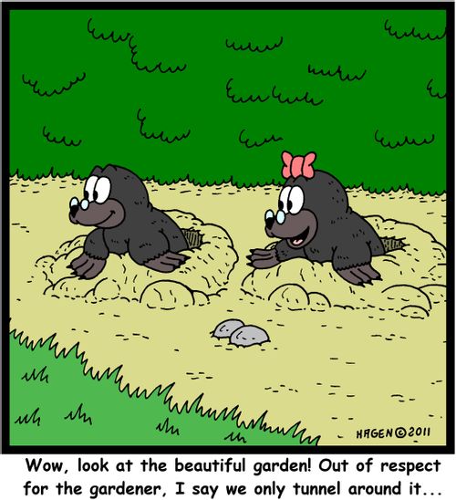'Wow, look at the beautiful garden! Out of respect for the gardener, I say we only tunnel around it...'