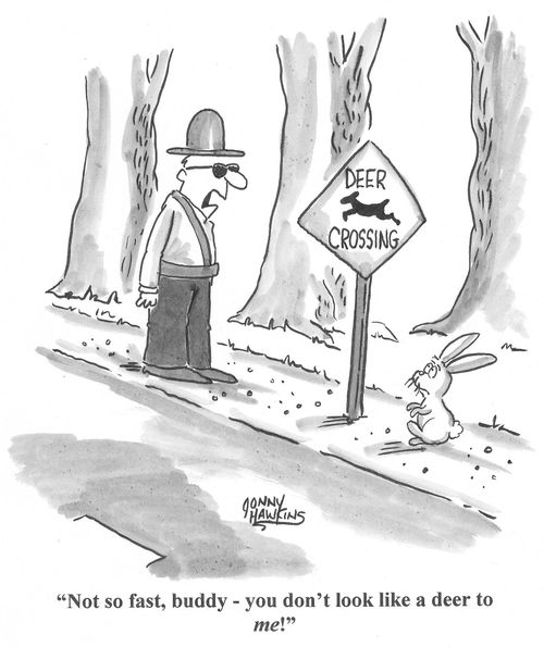 Crossing Guard to rabbit at Deer Crossing: 'Not so fast, buddy - you don't look like a deer to me!'