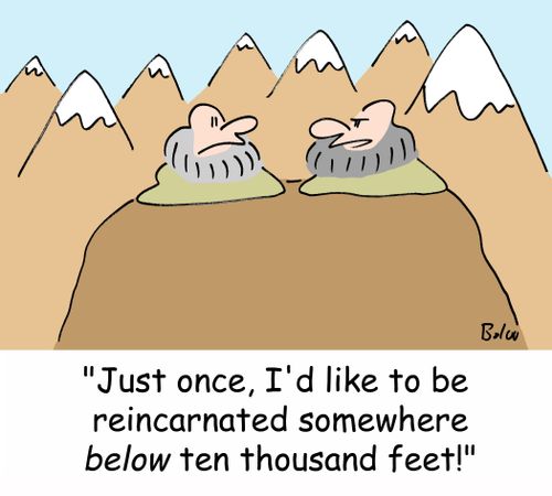 'Just once, I'd like to be reincarnated somewhere BELOW ten thousand feet!'