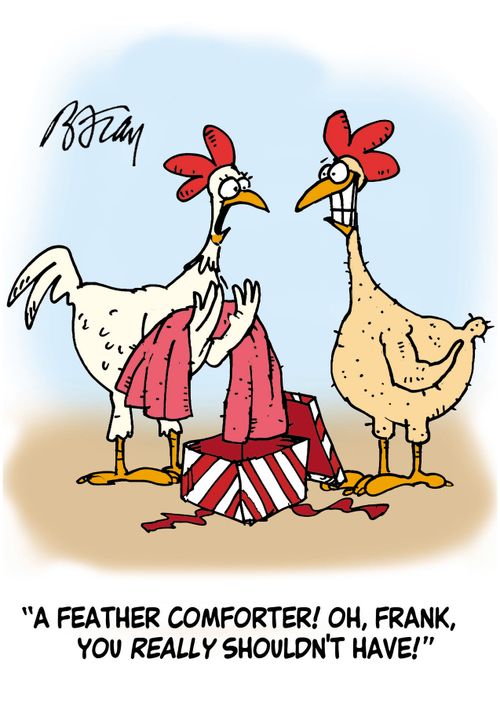 'A feather comforter! Oh, Frank, you really shouldn't have!'
